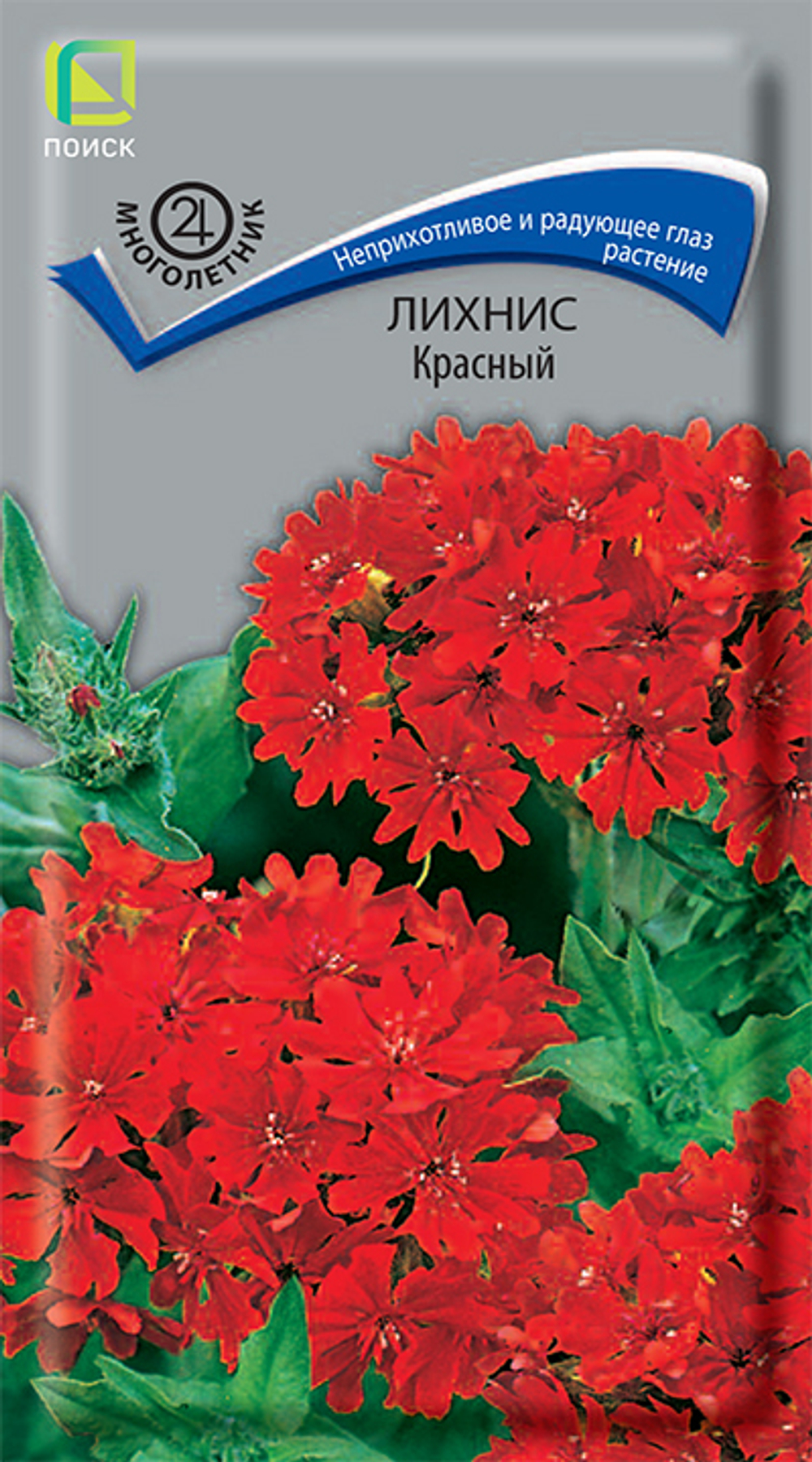 Лихнис Красный
