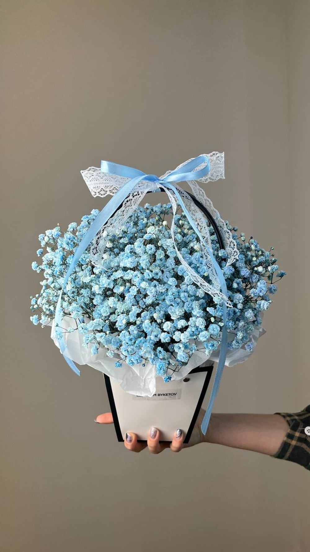 Купить гипсофилы Казань