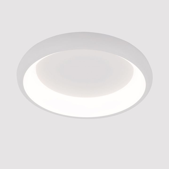 Потолочный светодиодный светильник Arte Lamp Menkib A2694PL-45WH