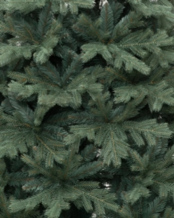 Искусственная елка Кремлевская голубая 210 см., Литая хвоя+ПВХ, ЕлкиТорг (19210)