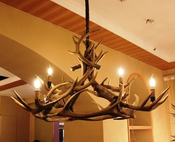 ROLL&HILL Superordinate Antler Chandelier - 1
