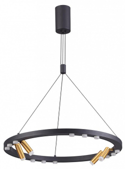 Подвесной светильник Odeon Light 3918/48L
