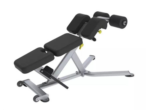 Скамья для пресса/Гиперэкстензия TRUE FITNESS (PARAMOUNT) FS22