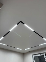 Трековый свет