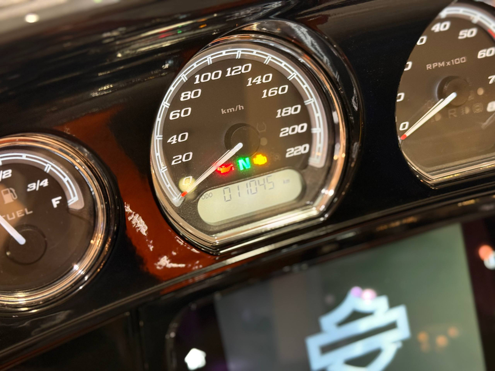 Harley-Davidson Ultra Limited, 2019 мг