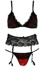 Кружевной комплект белья из бюстгальтера, трусиков и пояса с подвязками (Цвет: красный с черным)