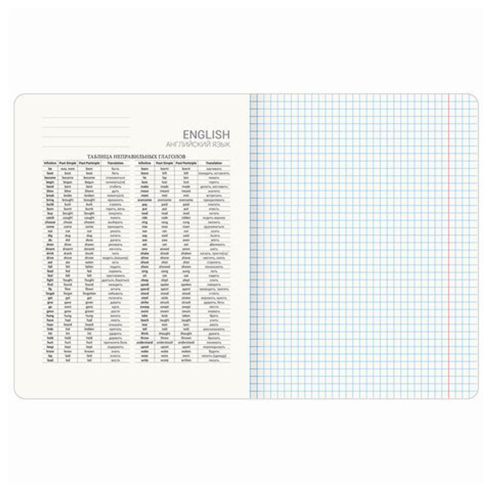 Тетрадь предметная "STARLIGHT" 48 л., глянцевый УФ-лак, АНГЛИЙСКИЙ ЯЗЫК, клетка, BRAUBERG, 404522