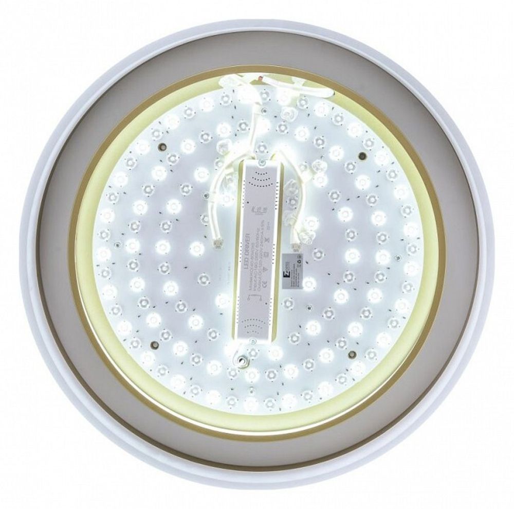 Накладной светильник Zortes Adel ZRS.1200.01