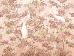 Коллекция Aurora