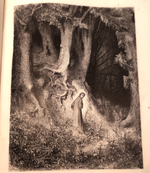 "Божественная комедия в 2-х книгах (т.1: Чистилище и Рай; т.2: Ад)". Данте Алигьери. 1879г.