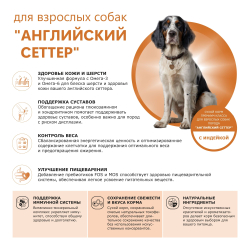 Корм сухой для взрослых собак породы Английский сеттер, премиум полнорационный комплекс, с индейкой, 12 кг, QUATTRO