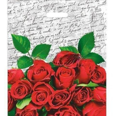 Пакет с прорубной ручкой ПВД 40х47 (45 мкм) "Дневник" (50/500 шт.) Интерпак