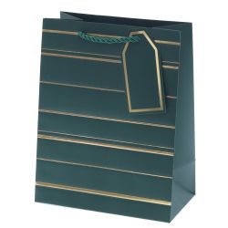 GAEM Пакет подарочный S (бумага 210г/м2, блок 12шт), L18 W10 H23 см, 10в.