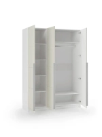 Шкаф распашной 120х40х190 трёхдверный Luxury 3