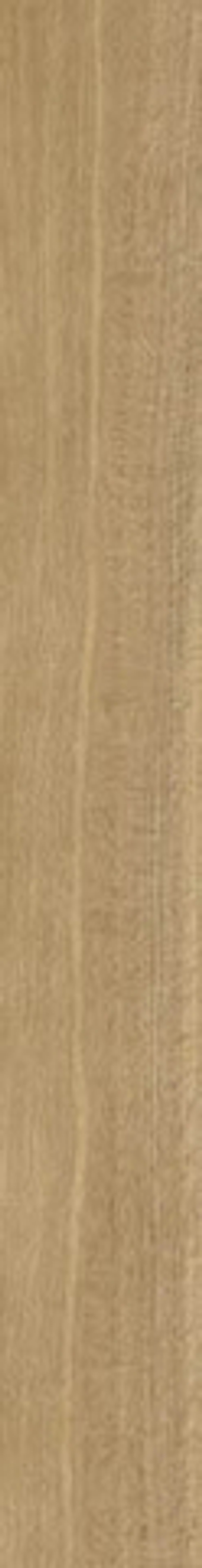 Керамогранит Eternum Rovere RET (610010002770)