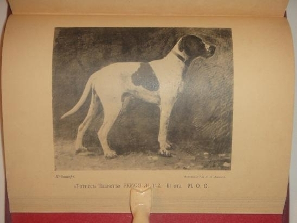 "Родословная книга охотничьих собак. В пяти томах"