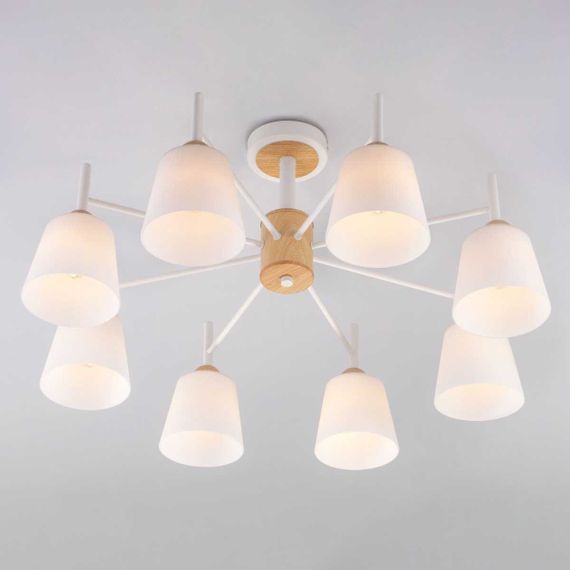 Потолочная люстра Eurosvet 70085/8 белый