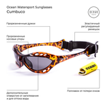 Спортивные очки OCEAN Cumbuco Transparent Braun / Grey Polarized lenses