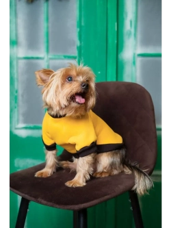 Толстовка для собак и кошек