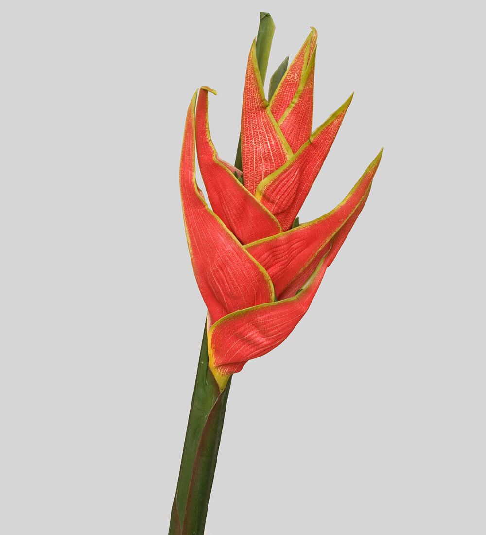 TR 631 Геликония