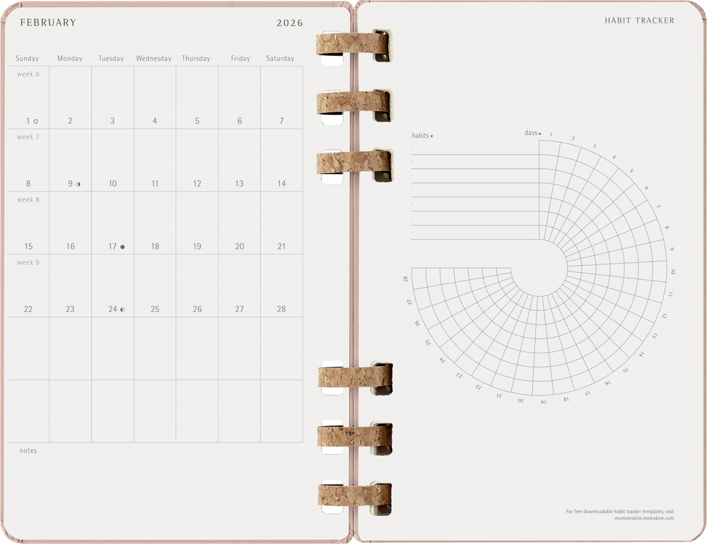 Еженедельник Moleskine SPIRAL (DHSPP2912MWH3) 130х210мм, цвет кофейный