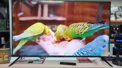 50" Телевизор haier LED S2 4K Ultra HD