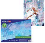 Холст на картоне с контуром BRAUBERG ART CLASSIC "МУЗА", 30х40см, грунтованный, хлопок, 191547