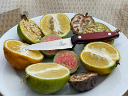 Кухонный нож Alexander L PRO AUS-8 Red G10