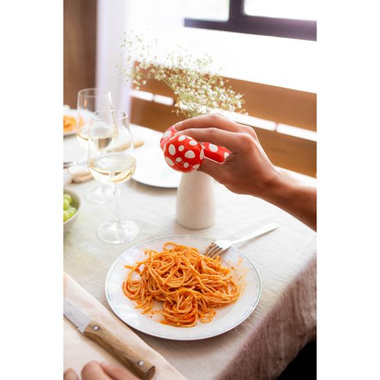 Набор из солонки и перечницы amanita