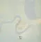 Dead Can Dance - The Serpent's Egg