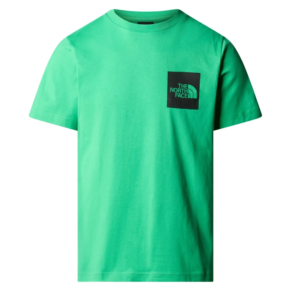 Футболка мужская The North Face Men’s S/S Fine Tee NF0A87NDPO81