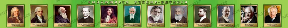 Стенд ВЫДАЮЩИЕСЯ УЧЁНЫЕ БИОЛОГИ 484