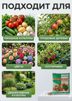 Минеральное удобрение Суперфосфат обогащенный, 1кг