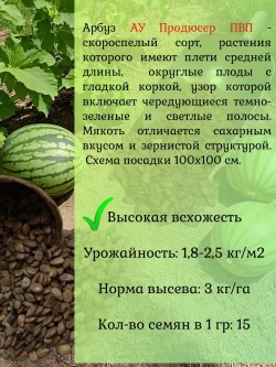 Семена Арбуз набор