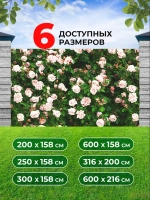 Фотосетка на забор кусты яркие цветы розы 3х1,58 м