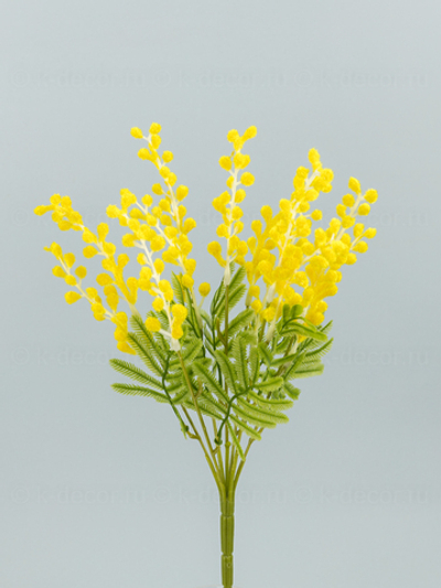 Мимоза букет