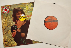 Винтажная виниловая пластинка LP Cat Stevens (France 1973)