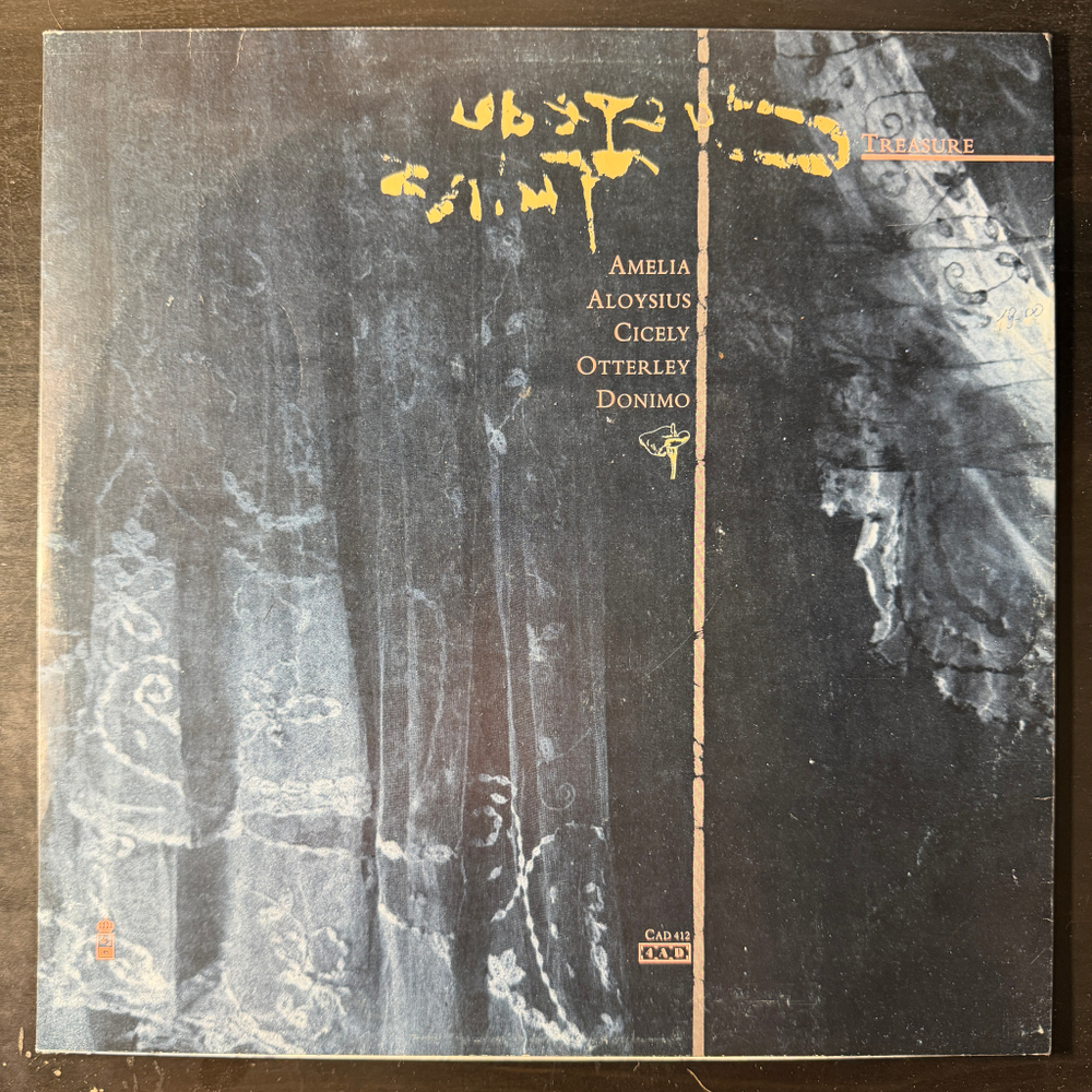 Виниловая пластинка Cocteau Twins ‎– Treasure LP