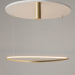 Подвесной светильник Maytoni MOD072PL-L36BSK