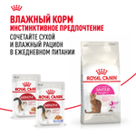 Royal Canin Savour Exigent Сэйвор Экзиджент Корм сухой для взрослых кошек привередливых ко вкусу 4кг