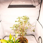 Монтаж в гроутент 60×60 см, подвес на стропах