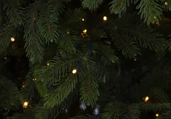 Ель Коттеджная 230 см., 800 LED лампы, литая хвоя+пвх, TreeDeLux (70052)