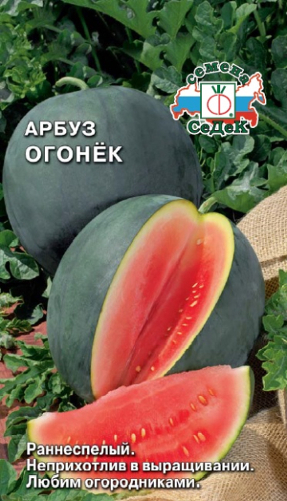 арбуз Огонёк