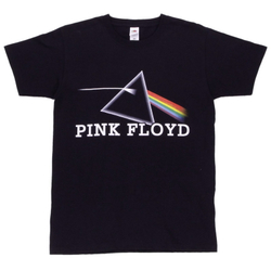 Футболка Pink Floyd The Dark Side Of The Moon (872)
