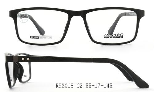 R93018