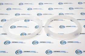 Пыльник на КПП F96119