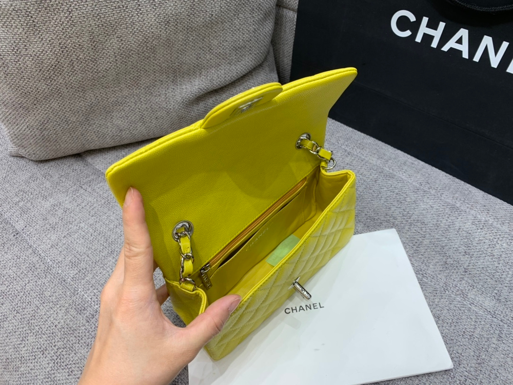 Chanel Bag 20 cm