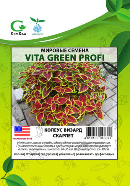 Колеус Визард Скарлет (50шт) Витагрин Профи