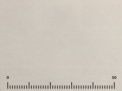 Велюр Форма ивори (Forma ivory)