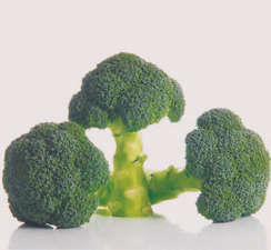 Миконос F1 семена капусты брокколи (Sakata / Саката)